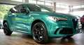 Alfa Romeo Stelvio 2.9 V6 AWD Quadrifiglio 510 pk | Carbon | | unieke Groen - thumbnail 1