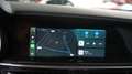 Alfa Romeo Stelvio 2.9 V6 AWD Quadrifiglio 510 pk | Carbon | | unieke Groen - thumbnail 26