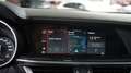 Alfa Romeo Stelvio 2.9 V6 AWD Quadrifiglio 510 pk | Carbon | | Akrapo Green - thumbnail 25