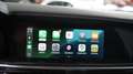 Alfa Romeo Stelvio 2.9 V6 AWD Quadrifiglio 510 pk | Carbon | | unieke Groen - thumbnail 25
