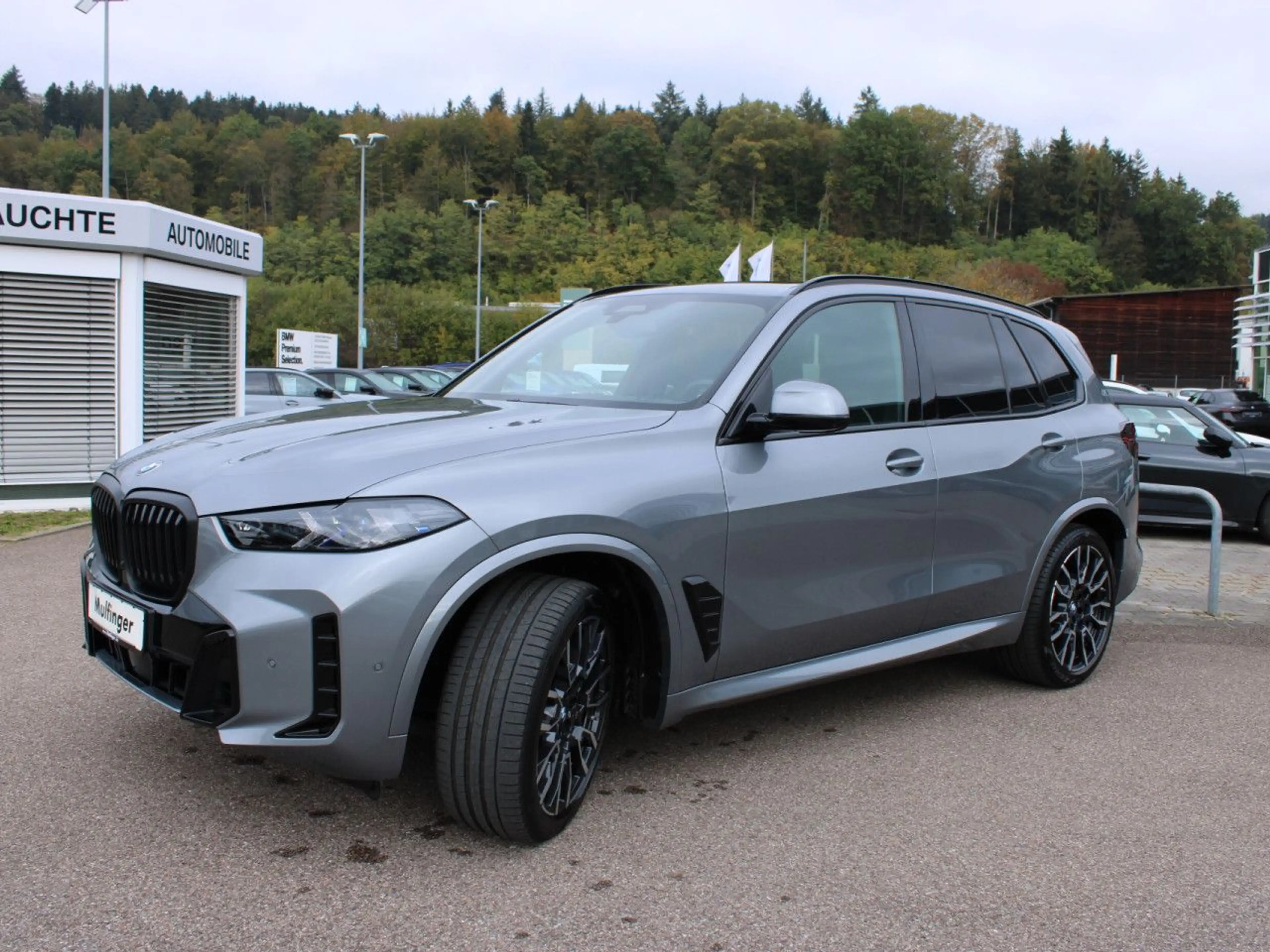 BMW X5 x40d M Sport Pro 2-Achs Iconic ACC PanoD.AHK — photo 4