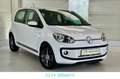 Volkswagen up! club up! Wit - thumbnail 3