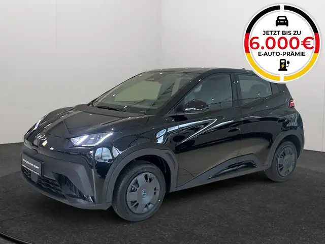 BYD Dolphin DOLPHIN SURF Active