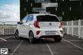 Kia Picanto 1.2 GT-Line|AppleCarPlay|Dealeronderhouden|Cruis Biały - thumbnail 15