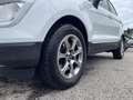 Ford EcoSport 1,0 EcoBoost Titanium Weiß - thumbnail 3