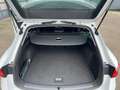 SEAT Leon SP FR 1.5eTSI 110kW (150PS)*DSG*RKAM*MATRIX*Trave Weiß - thumbnail 15
