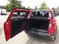 Ford EcoSport 125PS Active Leder Klimautom. LMF Rot - thumbnail 15