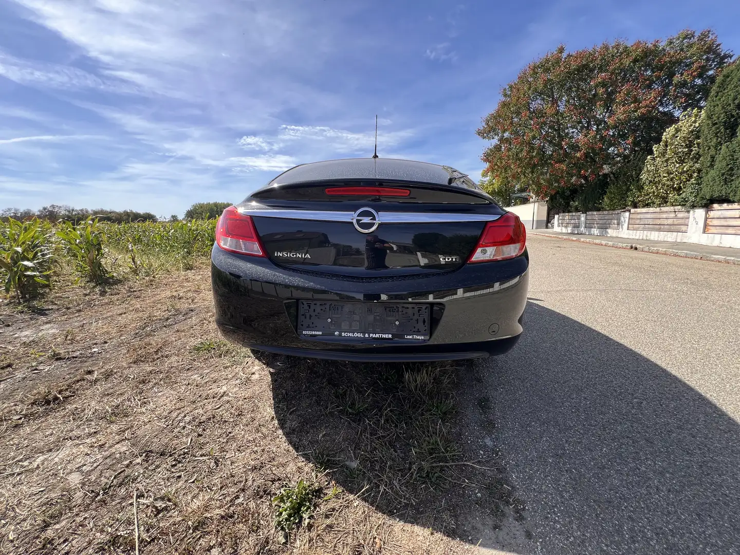 Opel Insignia 2,0 CDTI DPF Ecotec - 2