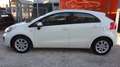 Kia Rio Rio 5p 1.1 crdi EX Plus Alb - thumbnail 3