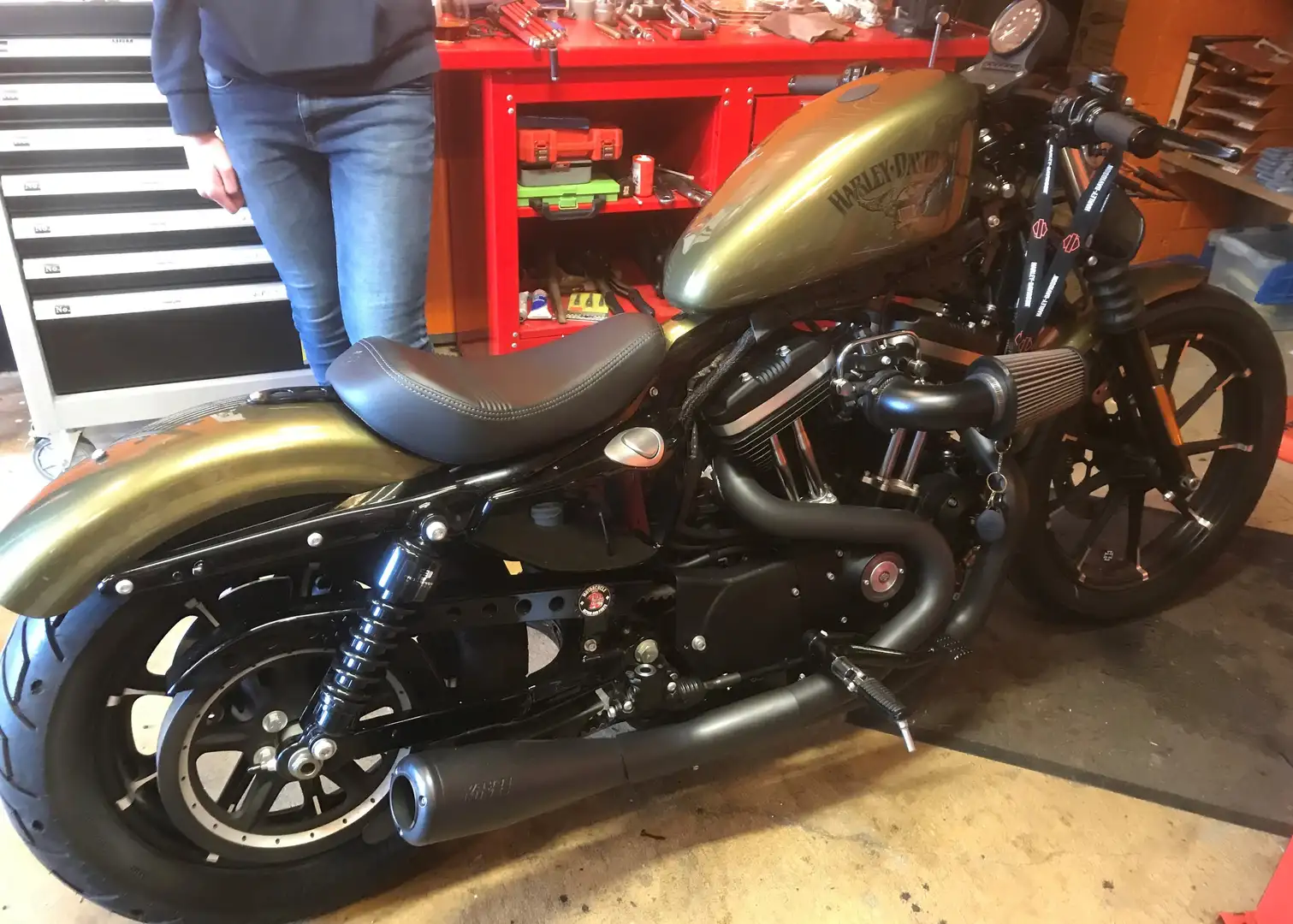 Harley-Davidson Sportster XL 883 Iron Pearl Vert - 2