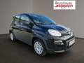 Fiat Panda 1,0 FireFly 70 Panda Schwarz - thumbnail 17