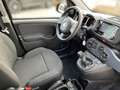 Fiat Panda 1,0 FireFly 70 Panda Schwarz - thumbnail 15