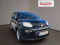 Fiat Panda 1,0 FireFly 70 Panda Schwarz - thumbnail 18