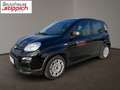 Fiat Panda 1,0 FireFly 70 Panda Schwarz - thumbnail 2