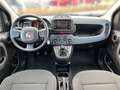 Fiat Panda 1,0 FireFly 70 Panda Schwarz - thumbnail 10