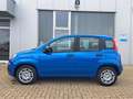 Fiat Panda MODELL 2025 1.0 Hybrid CITY-PAKET KLIMA Bleu - thumbnail 4