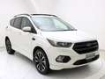 Ford Kuga 1.5 TDCI 120CV S&S 2WD ST-Line✔️TETTO APRIBILE Weiß - thumbnail 5