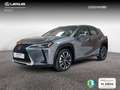 Lexus UX 250h Premium 4WD Grau - thumbnail 1