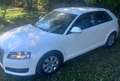 Audi A3 A3 1.6 tdi Ambiente - thumbnail 2