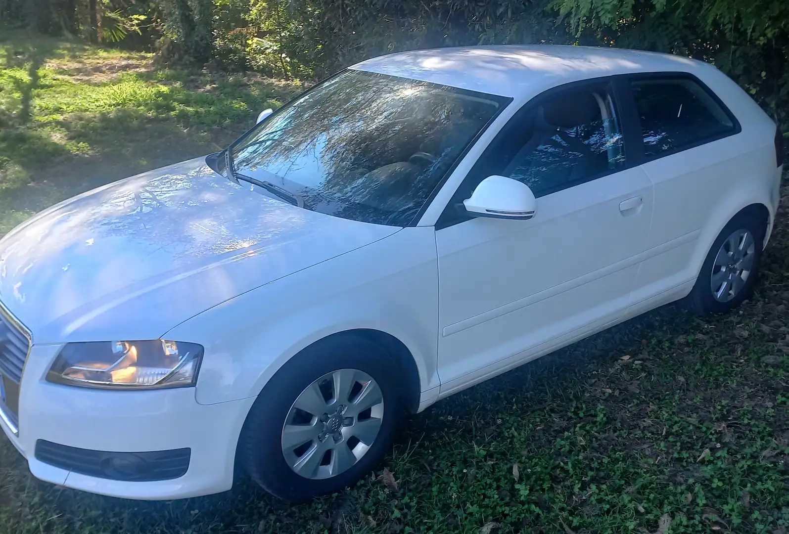 Audi A3 A3 1.6 tdi Ambiente - 2