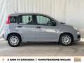 Fiat Panda 1.0 firefly hybrid city life s&s 70cv Grau - thumbnail 6