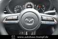 Mazda 3 FB SKYACTIV-X 2.0 M Hybrid SELECTION AZV Allwetter Rojo - thumbnail 11
