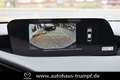 Mazda 3 FB SKYACTIV-X 2.0 M Hybrid SELECTION AZV Allwetter Rojo - thumbnail 14
