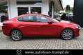 Mazda 3 FB SKYACTIV-X 2.0 M Hybrid SELECTION AZV Allwetter Rojo - thumbnail 6