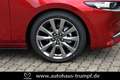 Mazda 3 FB SKYACTIV-X 2.0 M Hybrid SELECTION AZV Allwetter Rojo - thumbnail 5