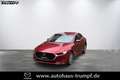 Mazda 3 FB SKYACTIV-X 2.0 M Hybrid SELECTION AZV Allwetter Rojo - thumbnail 2