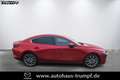 Mazda 3 FB SKYACTIV-X 2.0 M Hybrid SELECTION AZV Allwetter Rood - thumbnail 3
