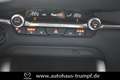 Mazda 3 FB SKYACTIV-X 2.0 M Hybrid SELECTION AZV Allwetter Rojo - thumbnail 16