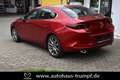 Mazda 3 FB SKYACTIV-X 2.0 M Hybrid SELECTION AZV Allwetter Rojo - thumbnail 9