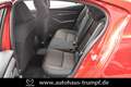 Mazda 3 FB SKYACTIV-X 2.0 M Hybrid SELECTION AZV Allwetter Rojo - thumbnail 24