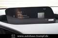 Mazda 3 FB SKYACTIV-X 2.0 M Hybrid SELECTION AZV Allwetter Rojo - thumbnail 12