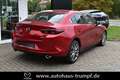 Mazda 3 FB SKYACTIV-X 2.0 M Hybrid SELECTION AZV Allwetter Rojo - thumbnail 25