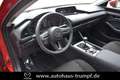 Mazda 3 FB SKYACTIV-X 2.0 M Hybrid SELECTION AZV Allwetter Rojo - thumbnail 22