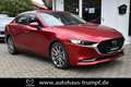 Mazda 3 FB SKYACTIV-X 2.0 M Hybrid SELECTION AZV Allwetter Rojo - thumbnail 4