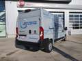 Fiat Ducato Electric L3H2 – 47kW BEV Gris - thumbnail 5