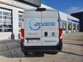 Fiat Ducato Electric L3H2 – 47kW BEV Gris - thumbnail 6