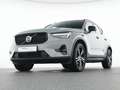 Volvo XC40 B3 Plus Dark Pixel-LED 360 Grad Cam Grau - thumbnail 7