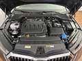 Skoda Octavia Business TDI Grau - thumbnail 5