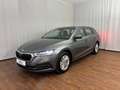 Skoda Octavia Business TDI Grau - thumbnail 1