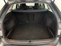 Skoda Octavia Business TDI Grau - thumbnail 14