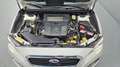Subaru Levorg Sport 4x4 - Leder / Glasdach / Kamera Weiß - thumbnail 14
