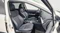 Subaru Levorg Sport 4x4 - Leder / Glasdach / Kamera Weiß - thumbnail 5