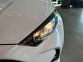 Toyota Yaris 120H 1.5 Active Plus Blanco - thumbnail 24