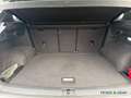 Volkswagen Tiguan 2.0 TDI R-LINE ALLRAD PANO AHK NAVI ACC Silber - thumbnail 7