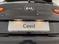 Kia Ceed / cee'd ceed  Platin-Ausstattung  136PS.DCT7 Negro - thumbnail 19