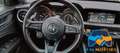 Alfa Romeo Stelvio 2.2 Turbodiesel 160 CV AT8 RWD"PROMO" Argento - thumbnail 10